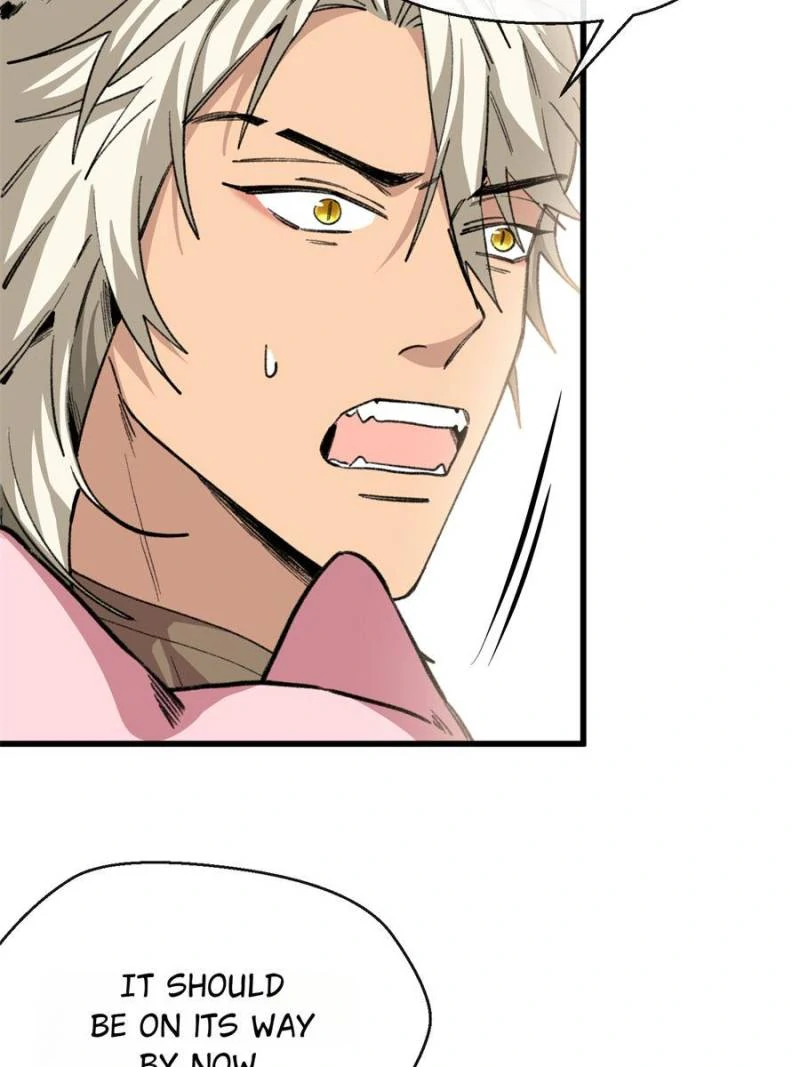 80990473 800 1067 65400