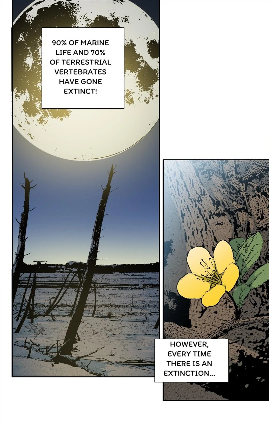 81907794 940 1475 198800